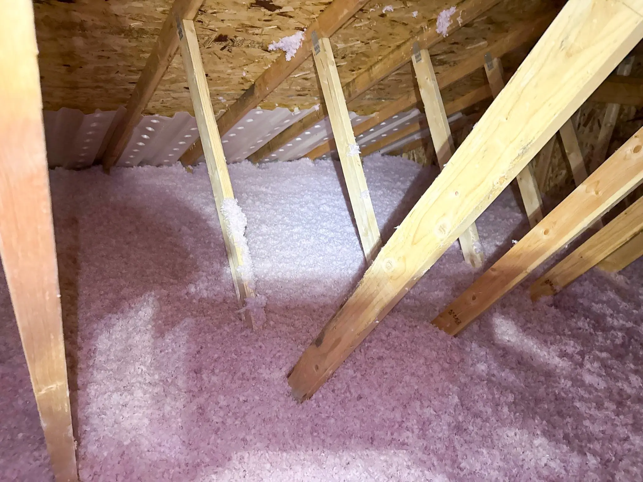 Blown-In Insulation Services in Annandale, MN ATTIC INSULATION CONTRACTOR