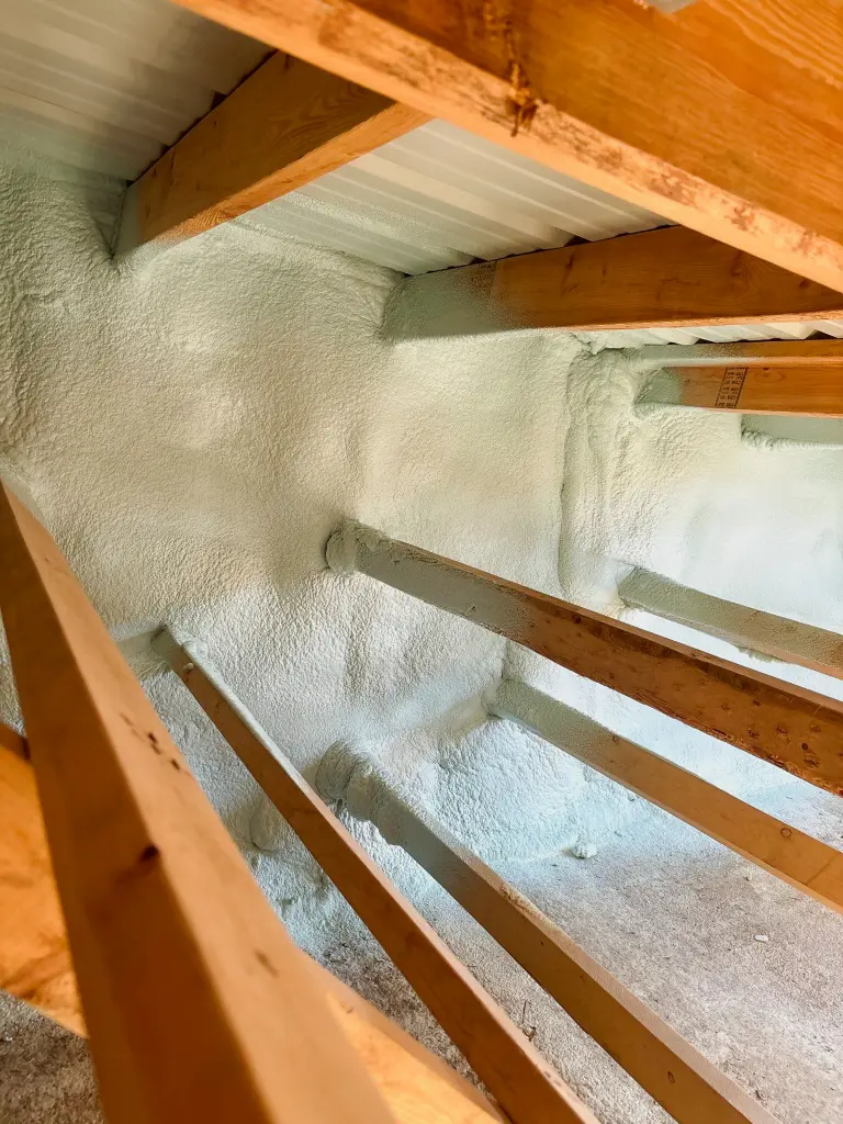 Crawl Space Encapsulation CRAWL SPACE ENCAPSULATION