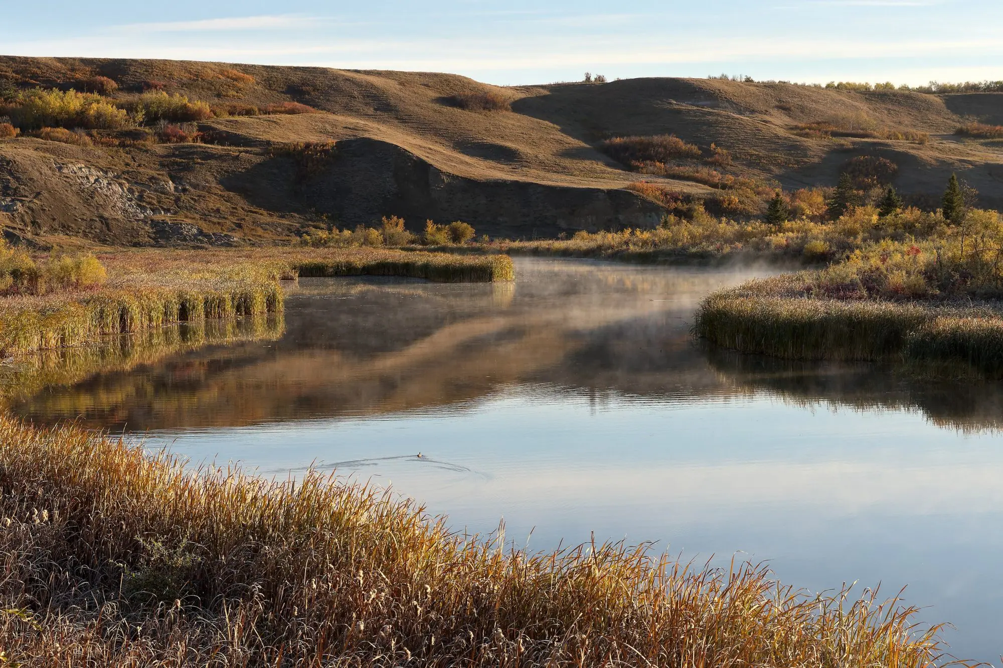 Buffalo Lake
