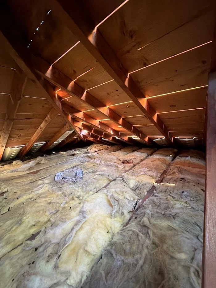 Home Insulation Guide: Types, Surfaces & How to Choose Right in Annandale, MN