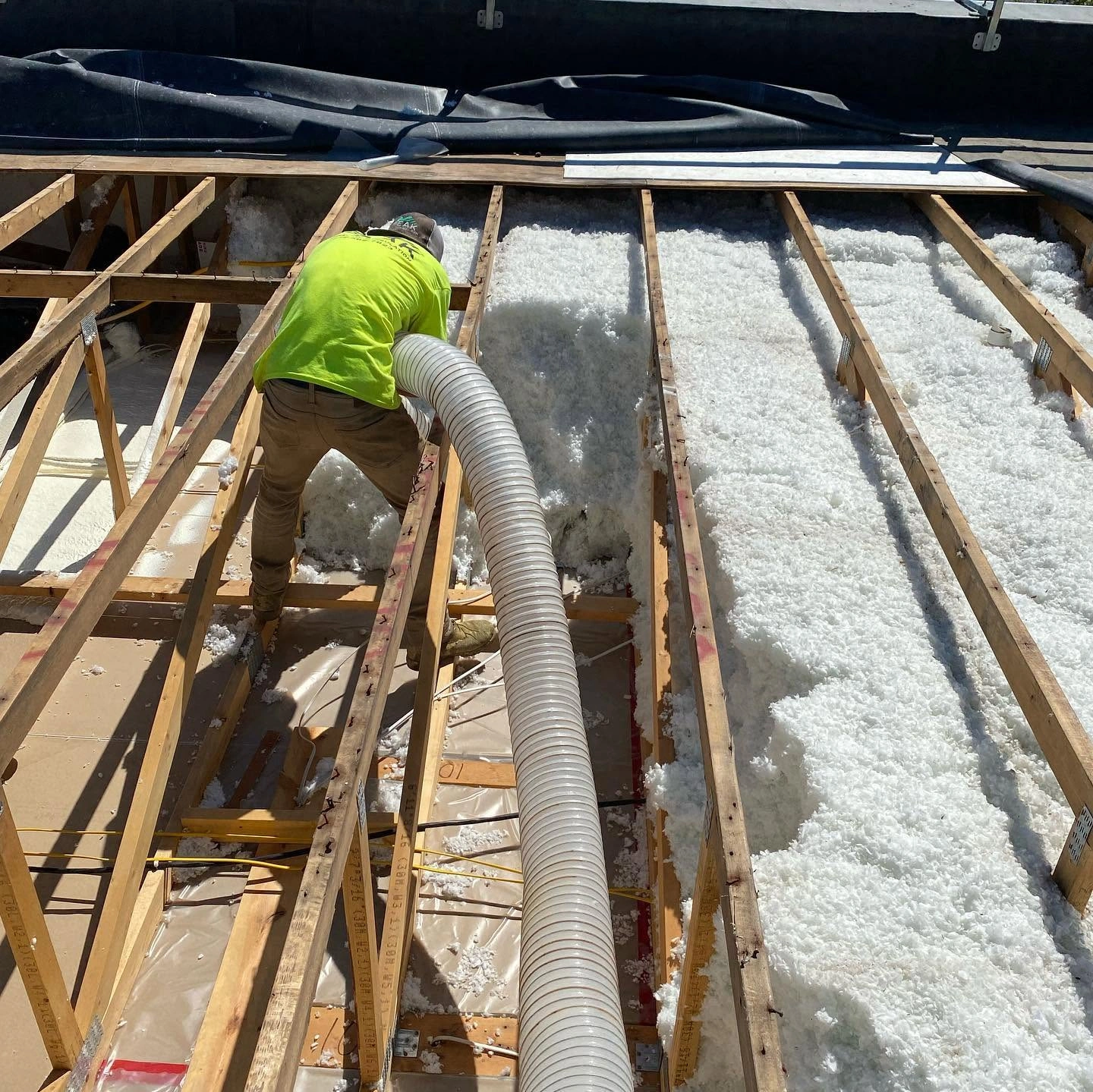 Professional Insulation Removal Services in Annandale Minnesota