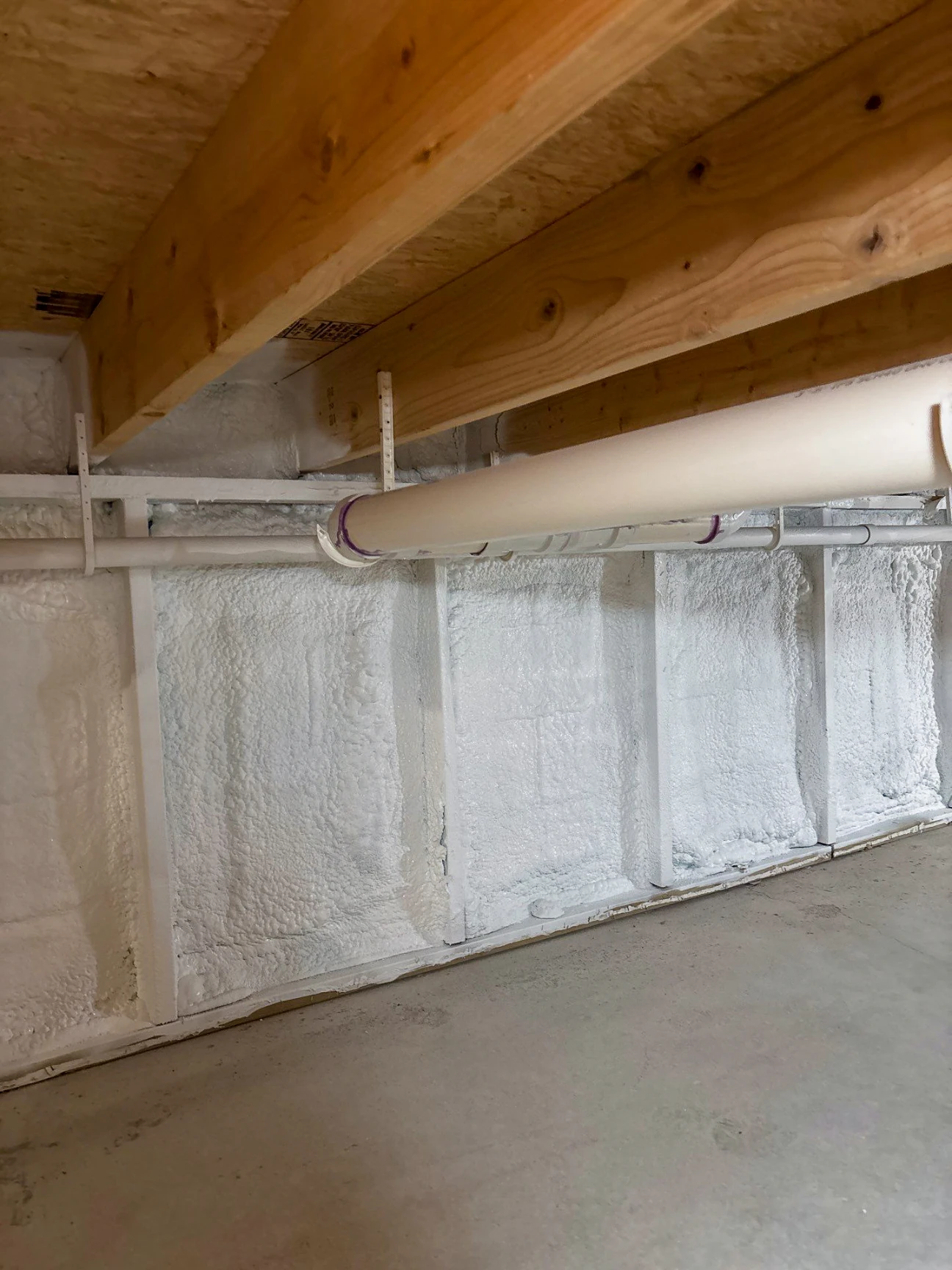 Trusted Crawl Space Insulation Contractors in Annandale MN