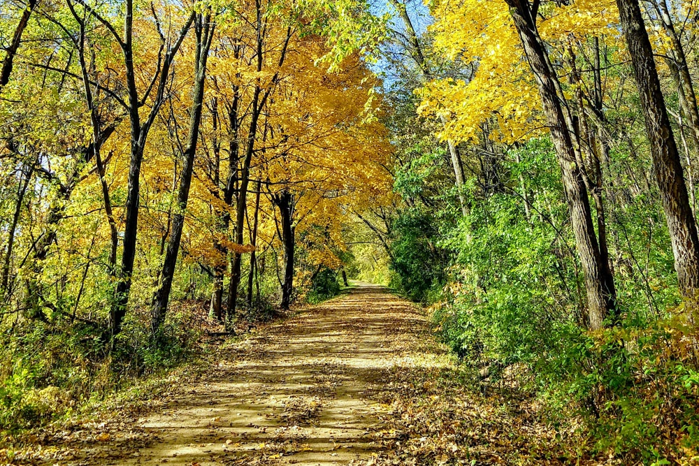 Luce Line State Trail