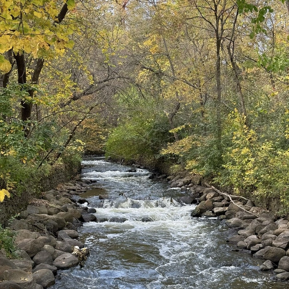 Sartell Nature Area