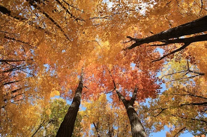 Lake Maria State Park