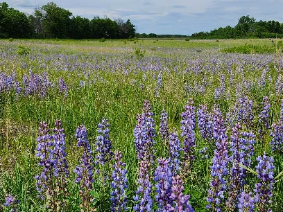 Sherburne National Wildlife Refuge