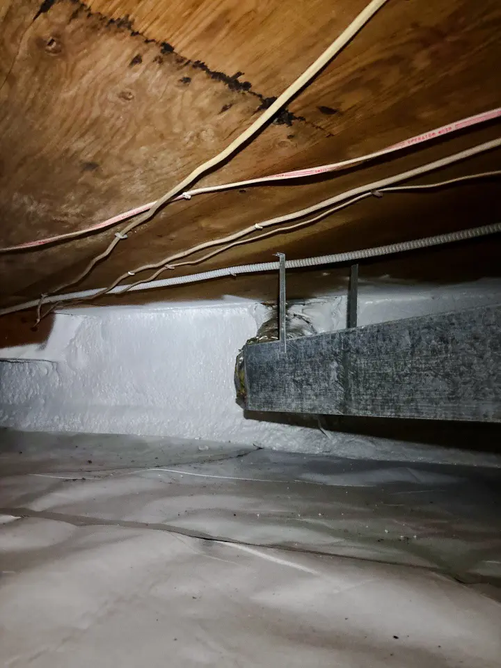 Why Crawlspace Spray Foam Insulation Outperforms the Rest AIR SEALING SERVICES IN ANNANDALE